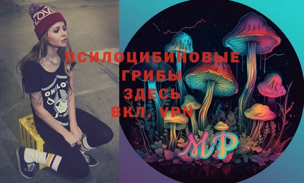 крисы Арсеньев