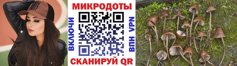 Псилоцибиновые грибы мухоморы  что такое наркотик  Бавлы 
